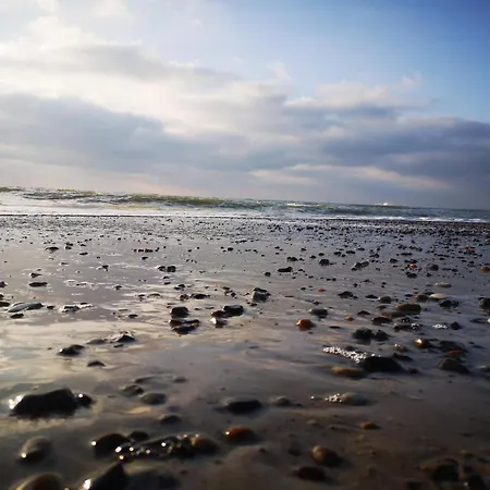 Semesterbostad 4 Star In Henne Henne Strand
